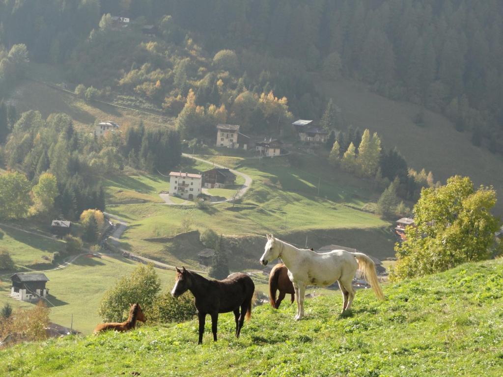 B&B Mas Di Zonadi Rabbi Exteriér fotografie