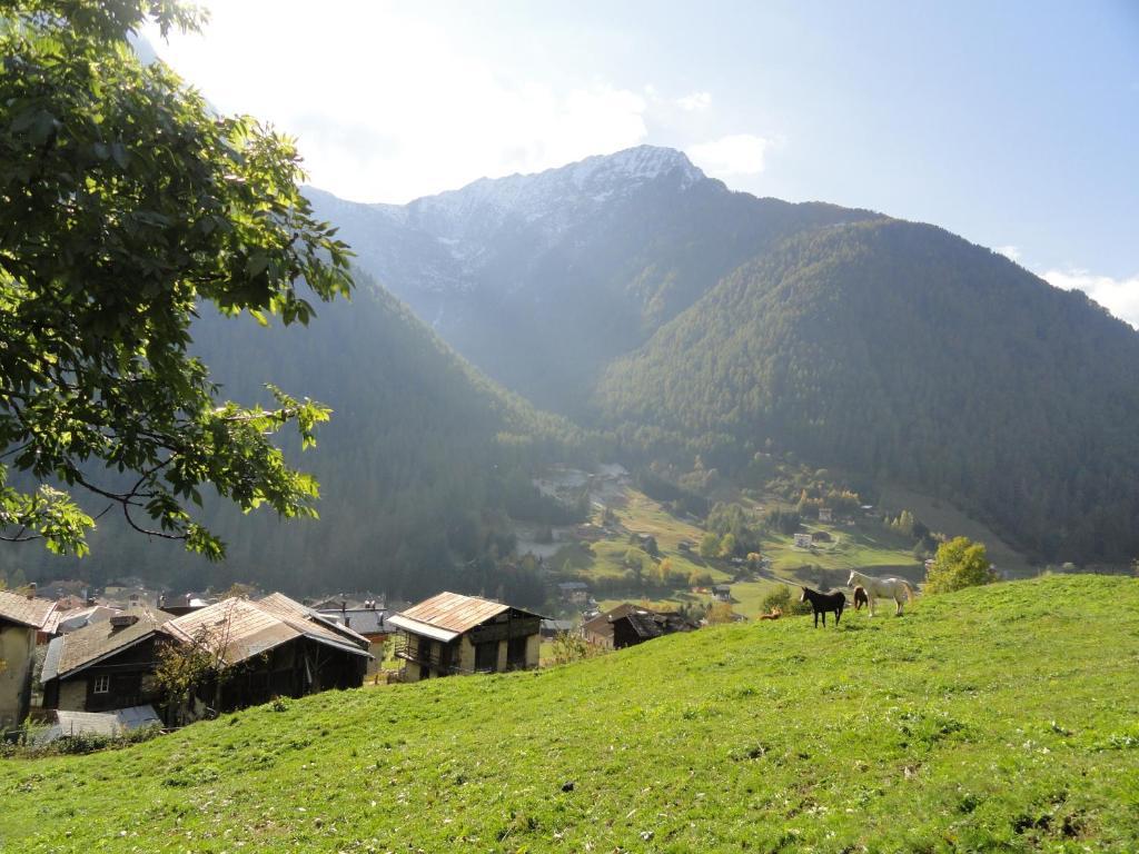 B&B Mas Di Zonadi Rabbi Exteriér fotografie
