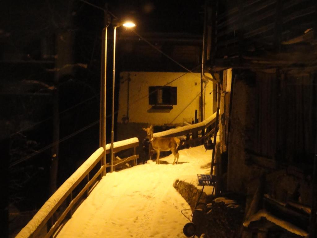 B&B Mas Di Zonadi Rabbi Exteriér fotografie